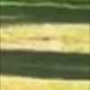 adafu0905